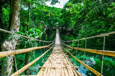 Фотообои Мост в тропическом лесу