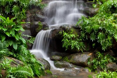 Фотообои водопад в тропическом лесу