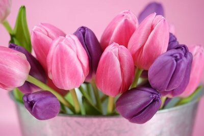 Фотообои для спальни Букет тюльпанов