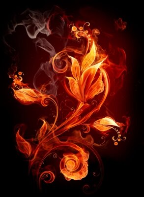 Креативные фотообои Огненный цветок